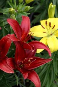 2020 Weekly Planner Flowers Pretty Red Yellow Lilies 134 Pages