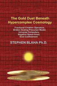 Gold Dust Beneath Hypercomplex Cosmology: Fractional Creation Operators, Broken Scaling Precursor Model, Universe Computers, Negative Space-times, Dust Confinement