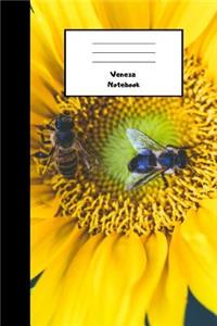 Veneza Notebook