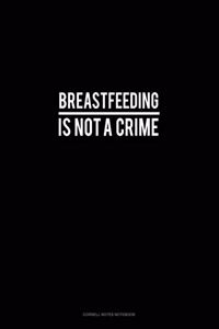 Breastfeeding Is Not a Crime