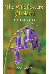 The Wildflowers of Ireland