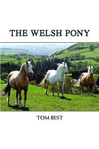 History of the Welsh Pony