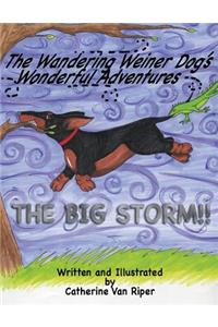 Wandering Weiner Dog's Wonderful Adventures