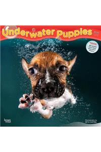 Underwater Puppies 2020 Square