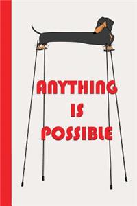 Anything Is Possible