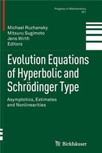 Evolution Equations of Hyperbolic and Schrödinger Type