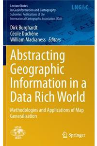 Abstracting Geographic Information in a Data Rich World