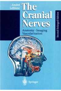 The Cranial Nerves