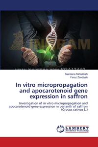 In vitro micropropagation and apocarotenoid gene expression in saffron