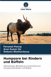 Humpsore bei Rindern und Büffeln