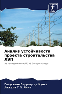 Анализ устойчивости проекта строительст&