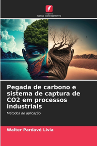 Pegada de carbono e sistema de captura de CO2 em processos industriais