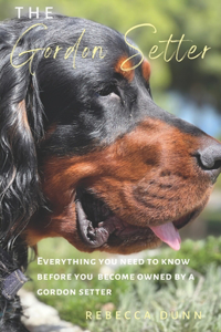 Gordon Setter