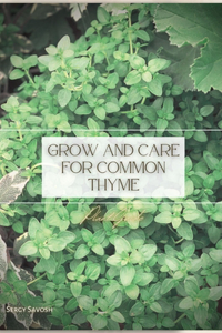 Grow and Care for Common Thyme