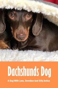 Dachshunds Dog