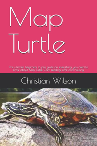 Map Turtle