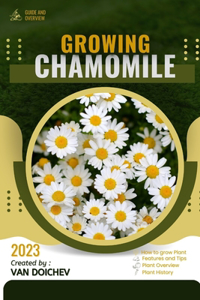 Chamomile
