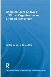 Computational Analysis of Firms' Organization and Strategic Behaviour