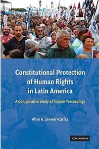 Constitutional Protection of Human Rights in Latin America