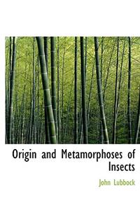 Origin and Metamorphoses of Insects