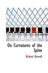 On Curvatures of the Spine