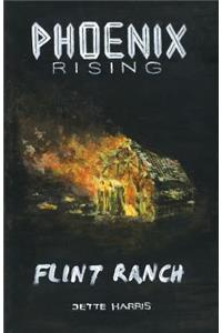 Flint Ranch: prelude to a thriller