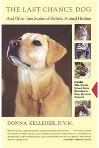 Last Chance Dog: And Other True Stories of Holistic Animal Healing