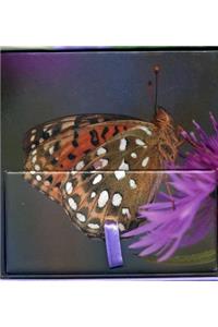 Memo Block - Painted Lady Butterfly