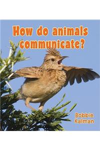 How Do Animals Communicate?