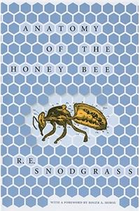 Anatomy of the Honey Bee