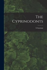 Cyprinodonts