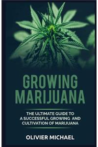 Growing Marijuana