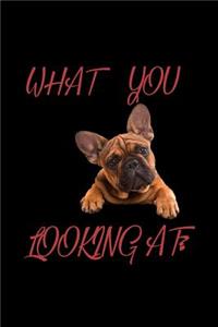 What you looking at