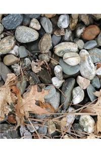 School Composition Book Stones Rocks Dry Leaves