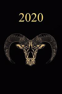 2020