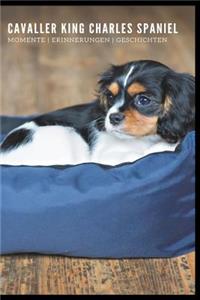 Cavaller King Charles Spaniel Momente Erinnerungen Geschichten