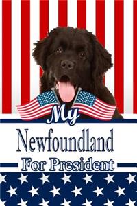 My Newfoundland for President