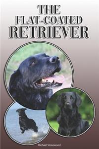 Flat-Coated Retriever