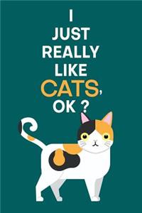 I Just Really Like Cats, OK?