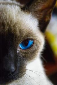 Peek-A-Boo Seal Point Siamese Cat Journal