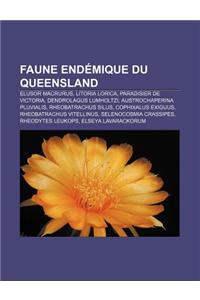 Faune Endemique Du Queensland