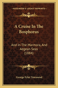 A Cruise In The Bosphorus