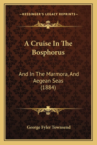 A Cruise In The Bosphorus