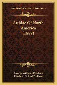Attidae Of North America (1889)