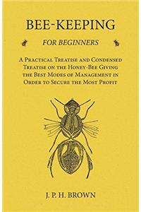 BEE-KEEPING FOR BEGINNERS: A PRACTICAL A