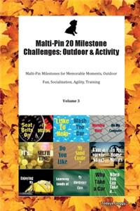 Malti-Pin 20 Milestone Challenges