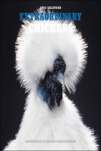 Extraordinary Chickens 2025 Wall Calendar