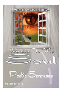 Window To My Soul