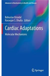 Cardiac Adaptations