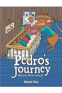 Pedro's Journey